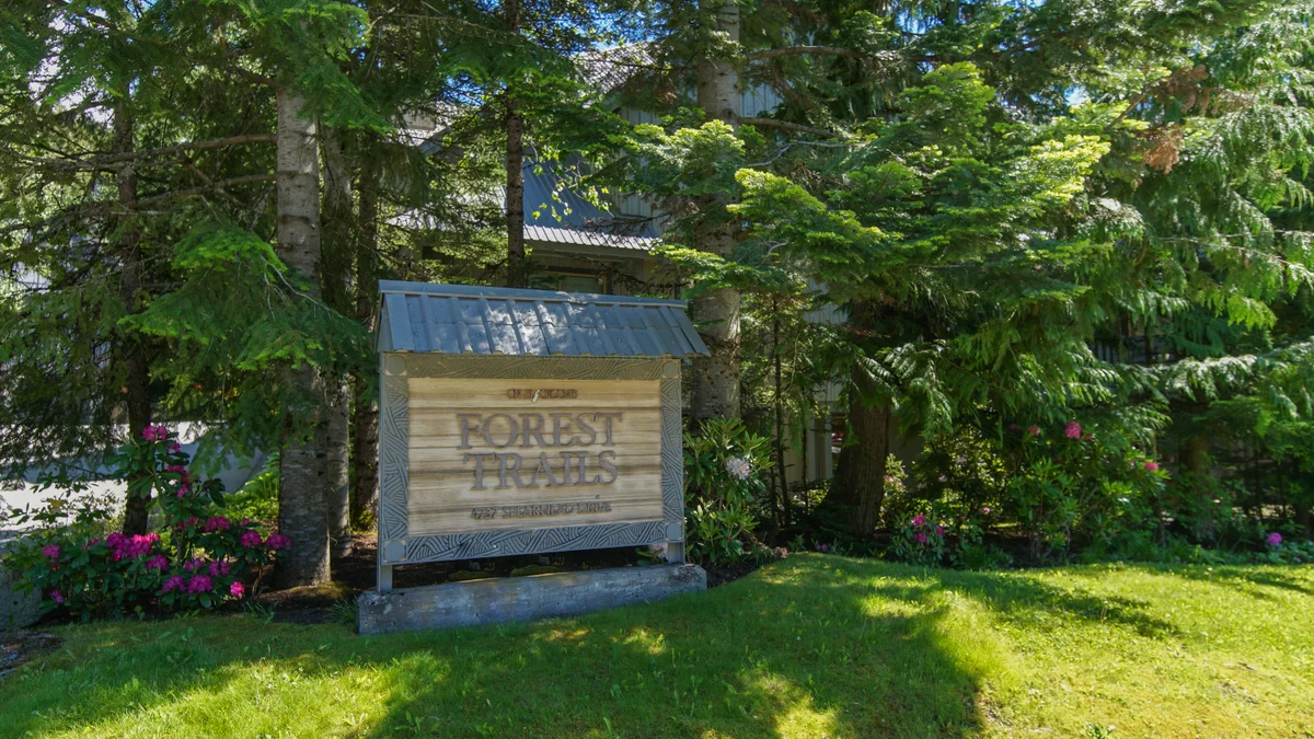 Forest trails complex