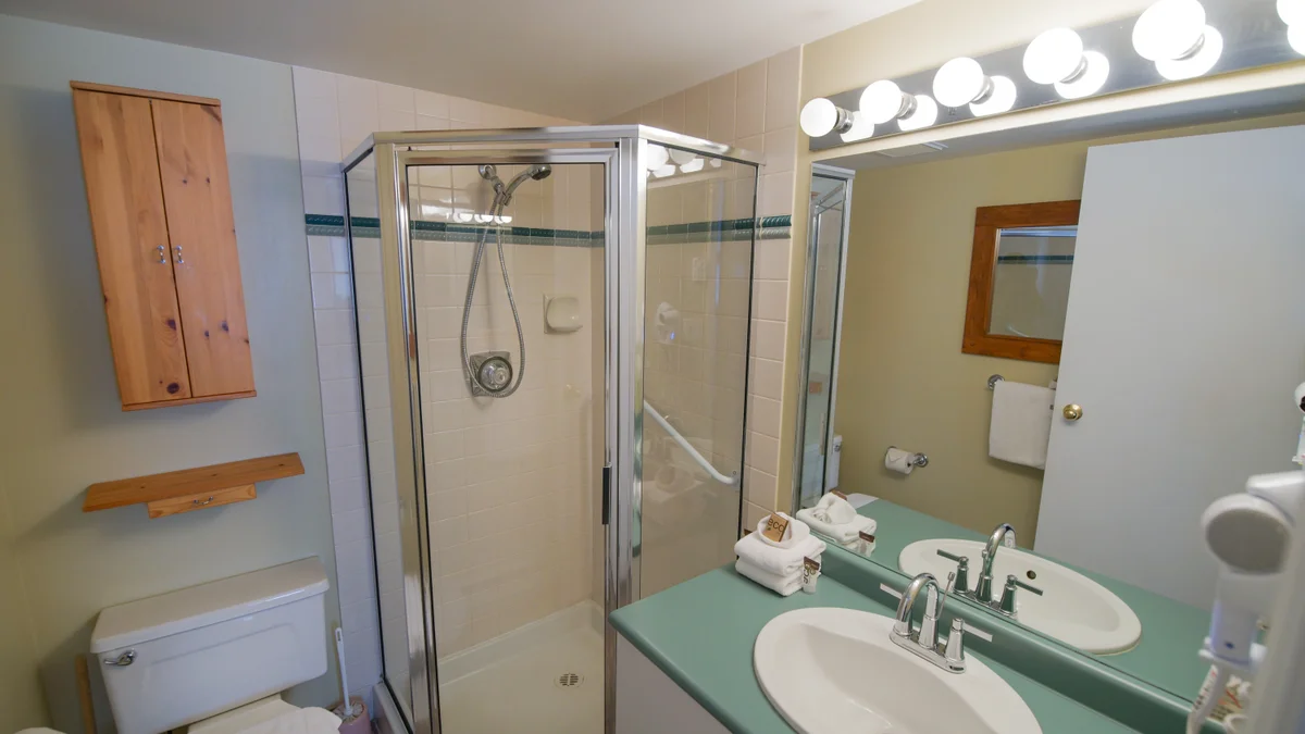 Ensuite bathroom with shower