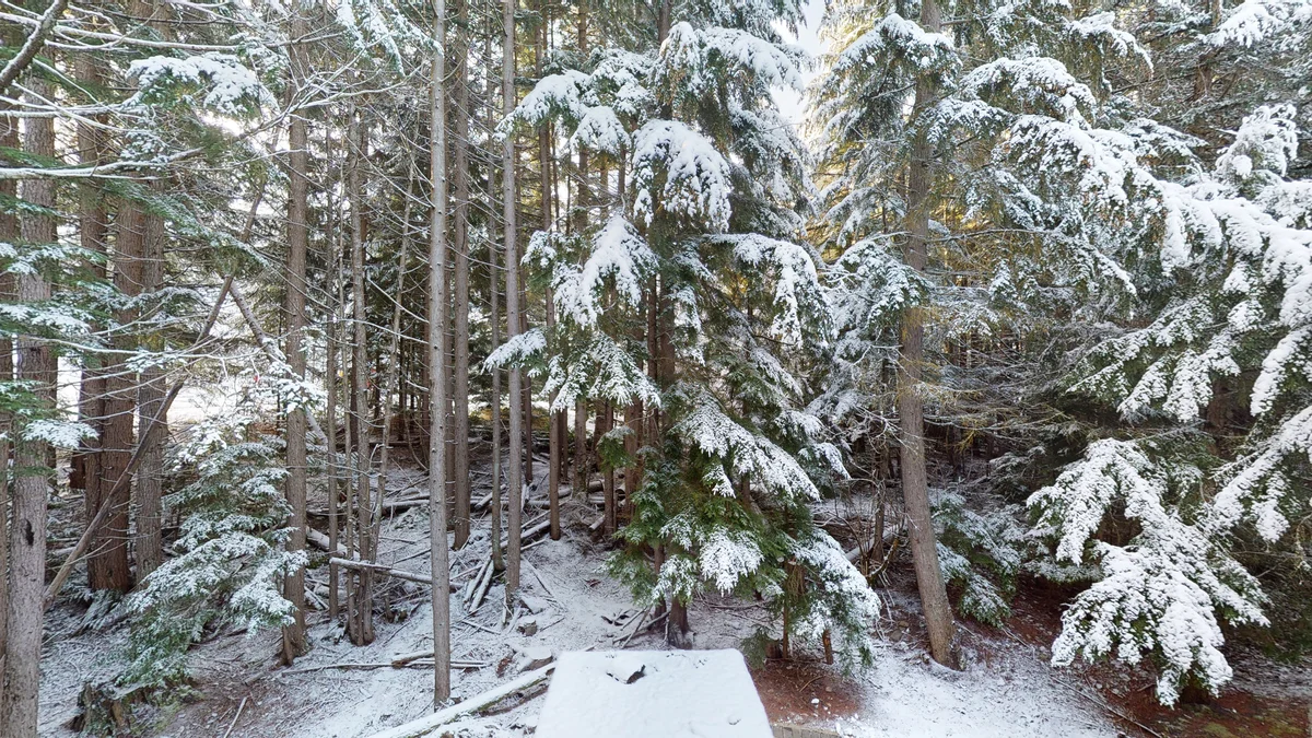View from second floor deck