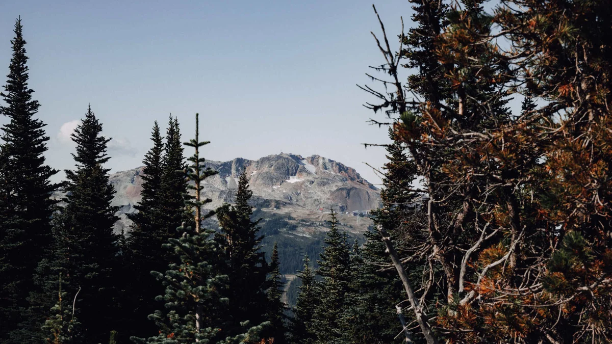 Blackcomb Benchlands Accommodations