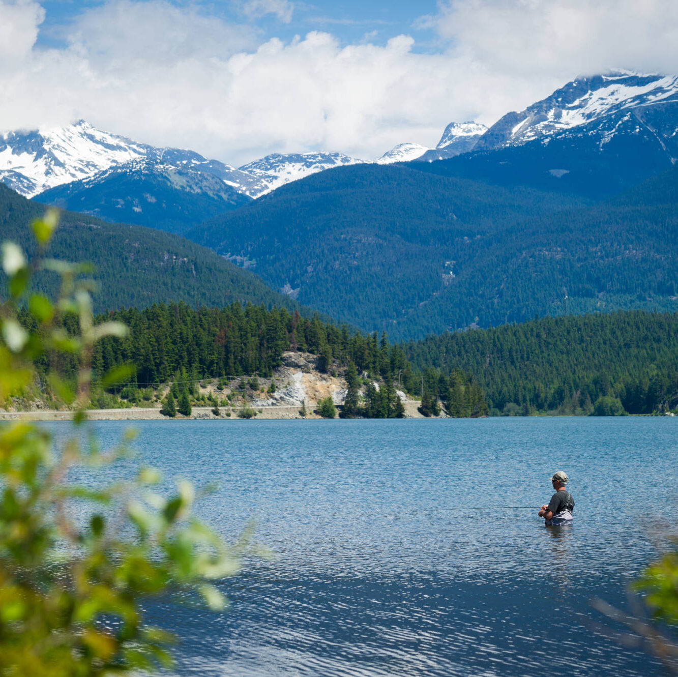 Whistler lake in summer