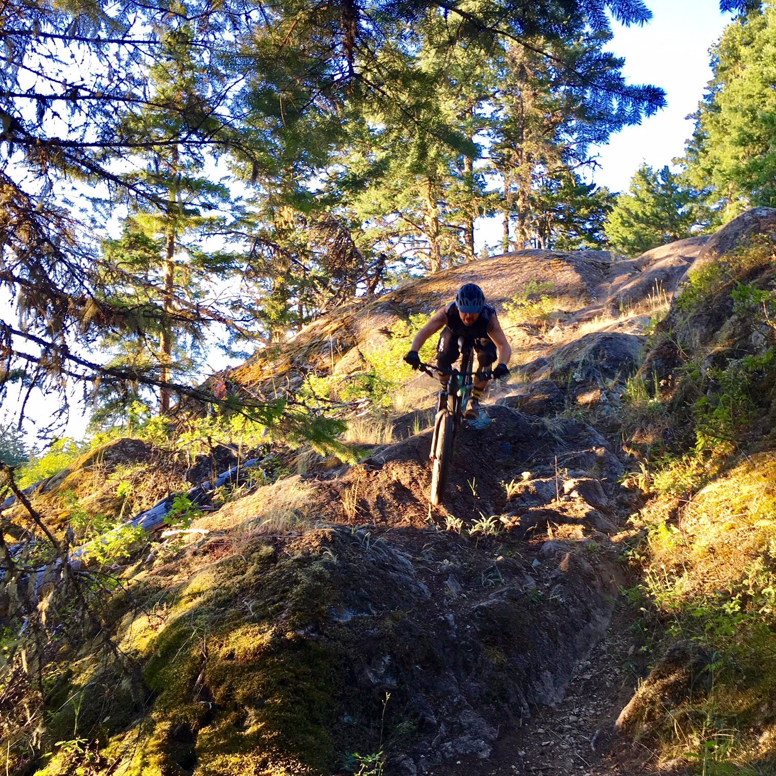 Mountain biking in Whistler