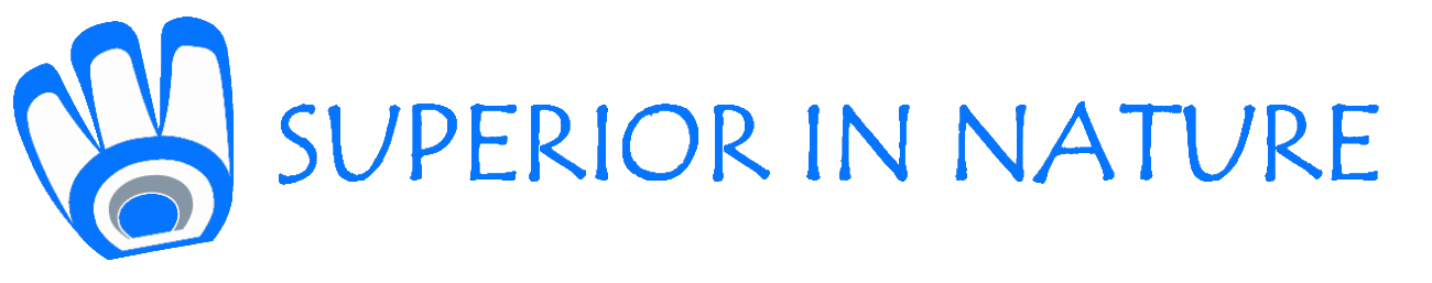 WS Slogan BLUE