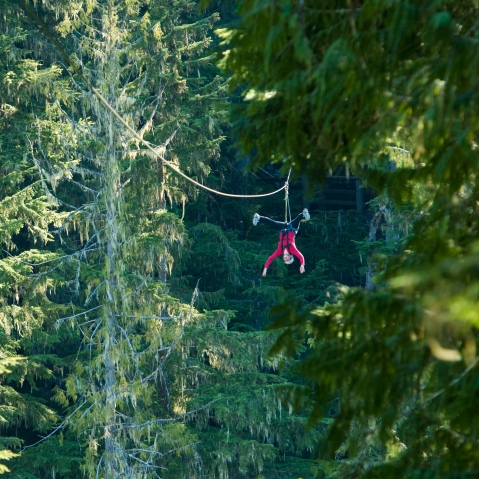 Ziptrek Ecotours summer ziplining