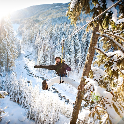 Ziptrek Ecotours winter ziplining